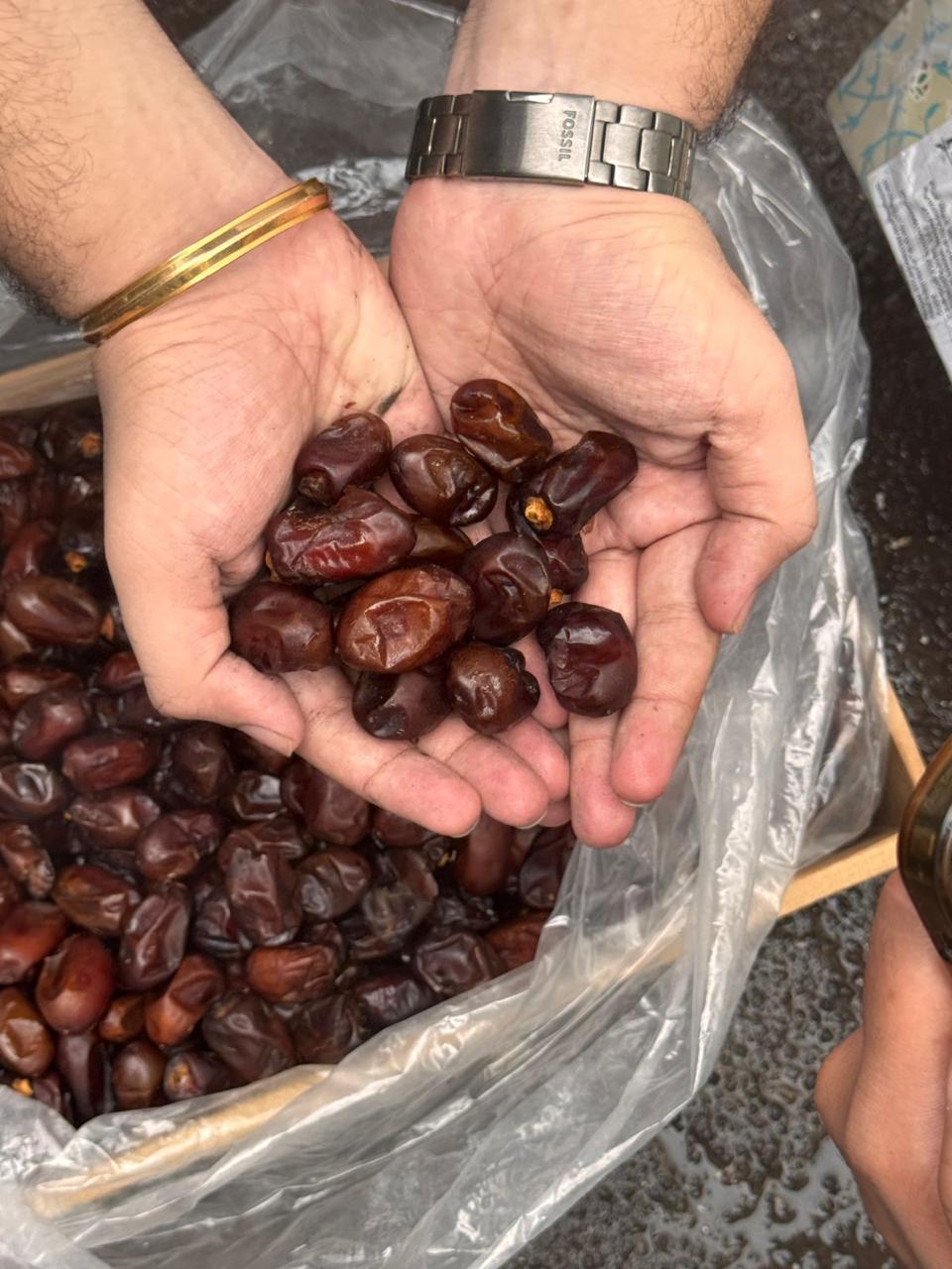 Fresh Harvest Inspection & Sorting